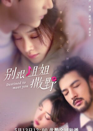 Xem Phim Đừng Nhờn Với Chị 13 HD Vietsub-Destined To Meet You