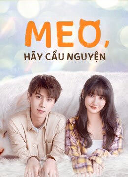 Phim Meo Hãy Cầu Nguyện HD Vietsub