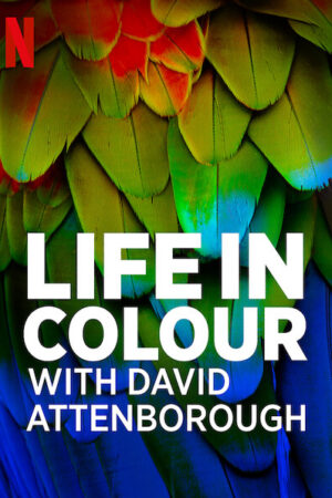 Xem Phim David Attenborough Sự Sống Đầy Màu Sắc 01 HD Vietsub-Life In Colour With David Attenborough