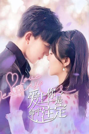 Xem Phim Yêu Em Là Định Mệnh 9 HD - Vietsub-Love Destiny