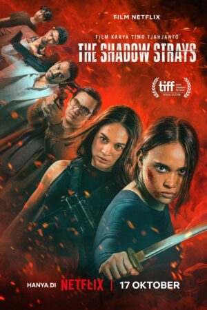 Xem Phim Sát thủ mật danh 13 full FHD Vietsub-The Shadow Strays