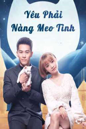 Phim Yêu Phải Nàng Meo Tinh HD - Vietsub